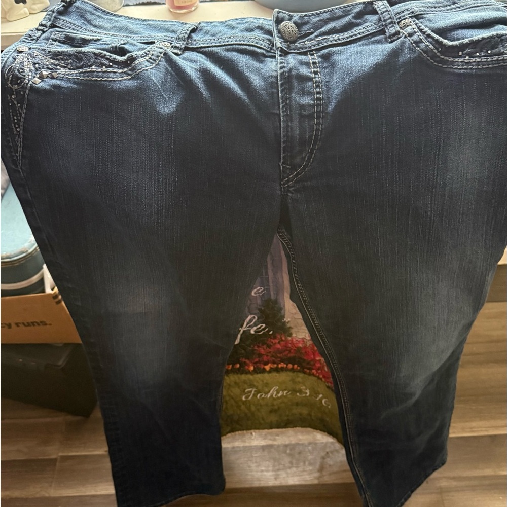 Silver Jeans Blue/plus size 22w